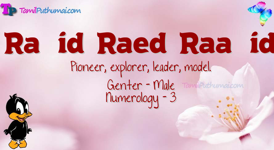 Ra   id  Raed  Raa   id-babyname-meaning